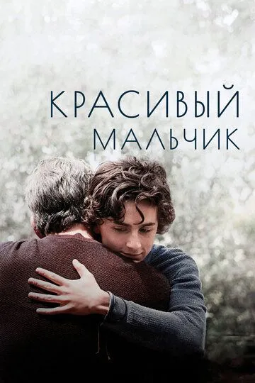 Гарний хлопчик (2018)